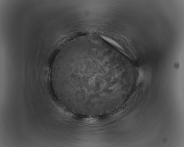 X0000097760511200803071258