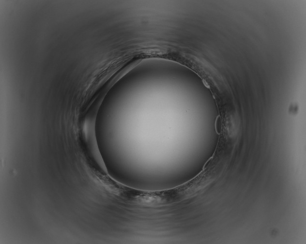 X0000097760512200803071258