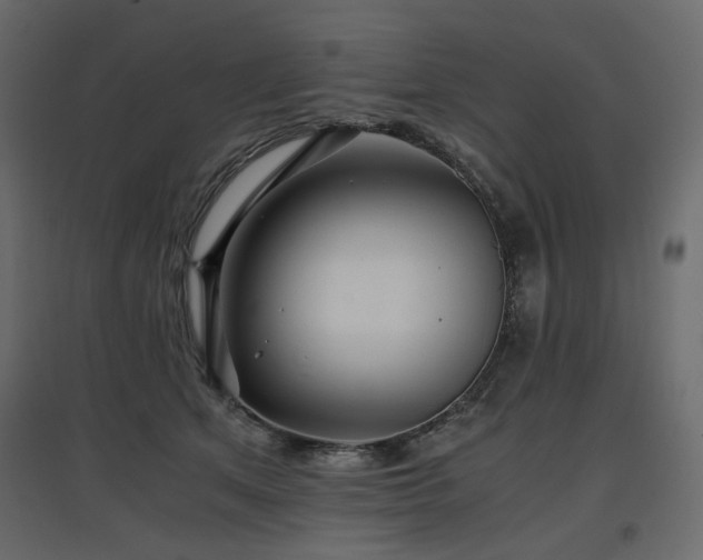 X0000097760513200803071258