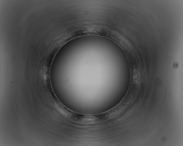 X0000097760514200803071258