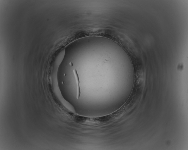 X0000097760515200803071258