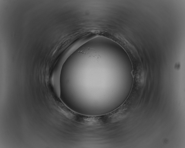 X0000097760516200803071258