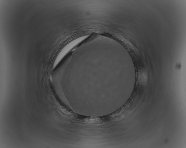 X0000097760517200803071258