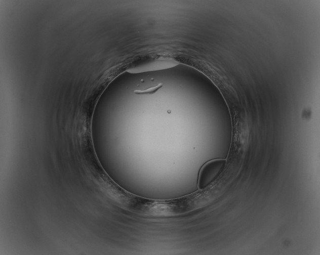 X0000097760518200803071258