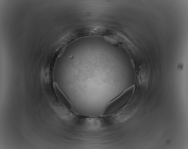 X0000097760520200803071258