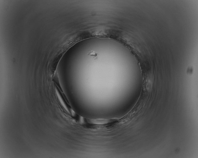 X0000097760521200803071258