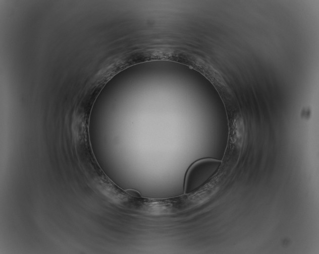 X0000097760522200803071258