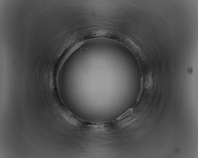 X0000097760524200803071258