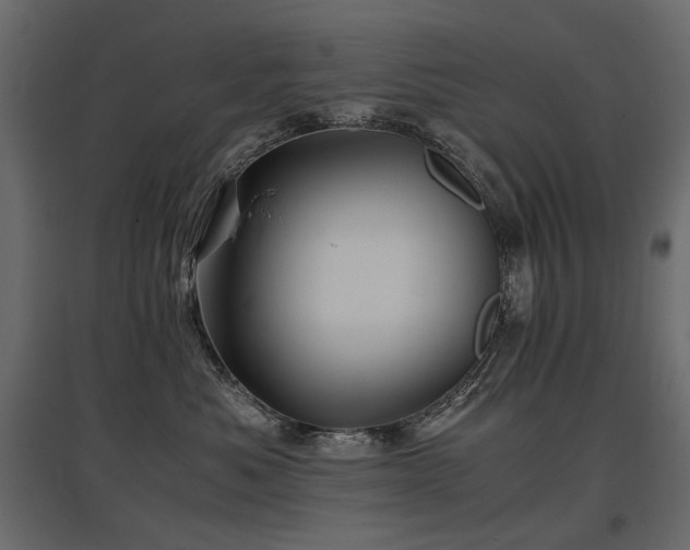 X0000097760525200803071258