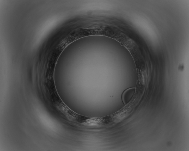 X0000097760526200803071257