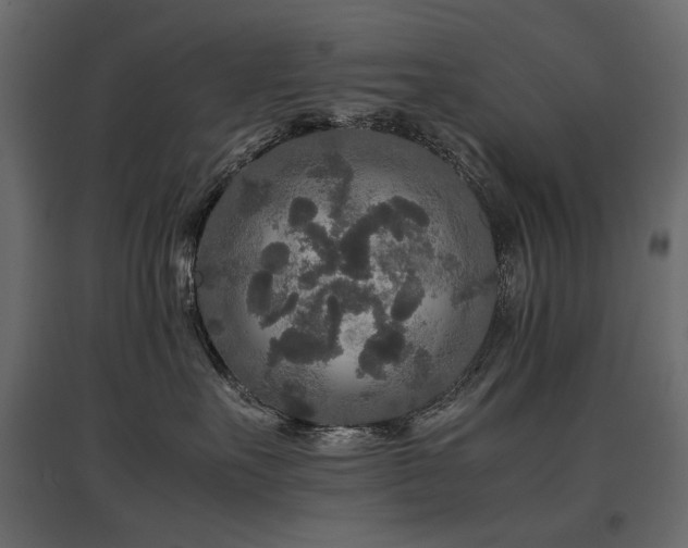 X0000097760527200803071257