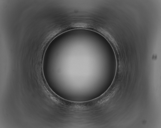 X0000097760529200803071257