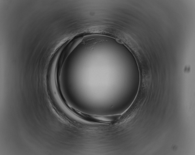 X0000097760530200803071257