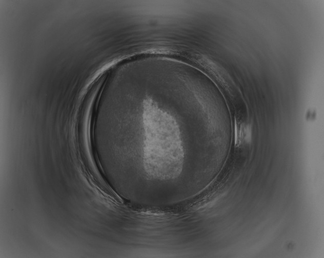 X0000097760531200803071257