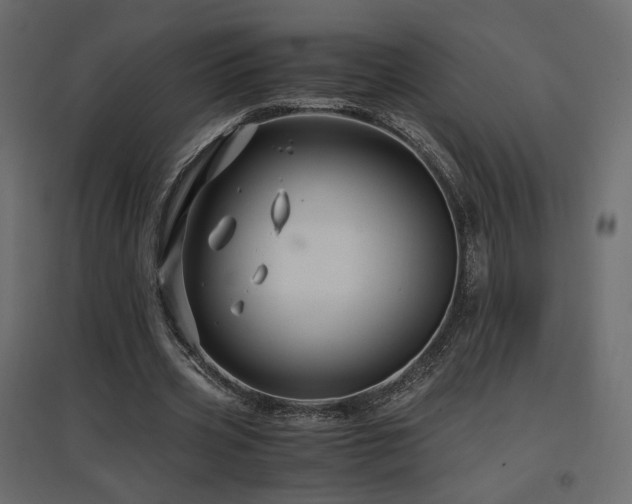 X0000097760533200803071257