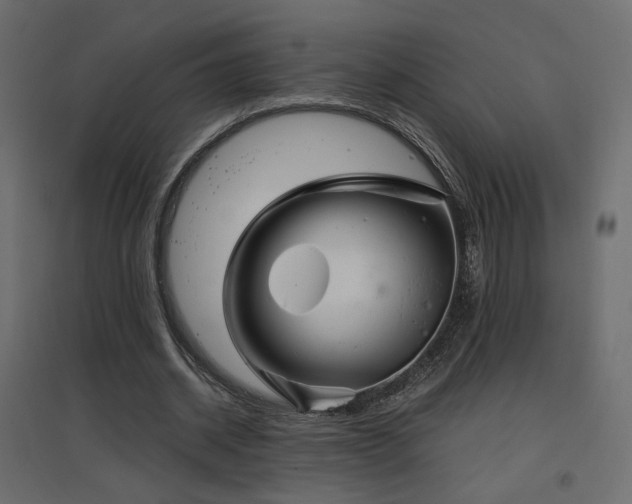 X0000097760534200803071257