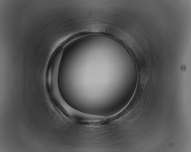 X0000097760536200803071257