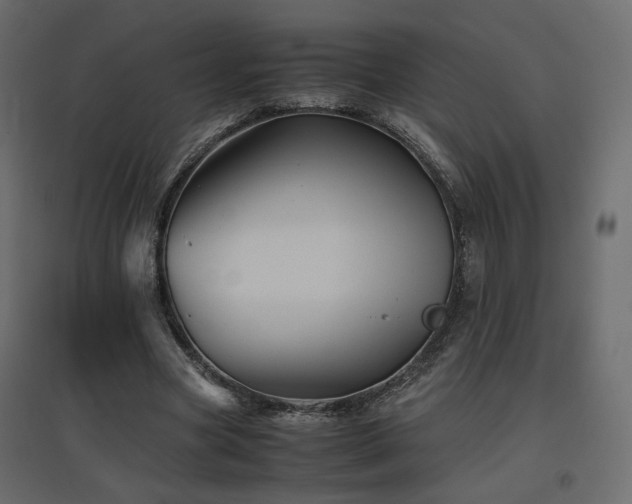 X0000097760537200803071257