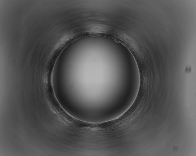 X0000097760539200803071257