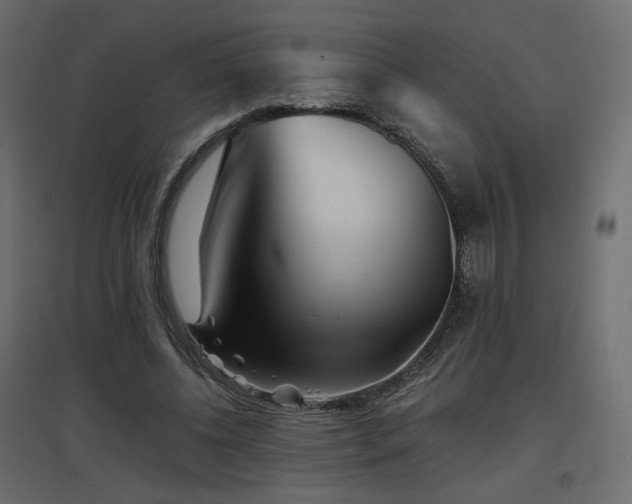 X0000097760540200803071257