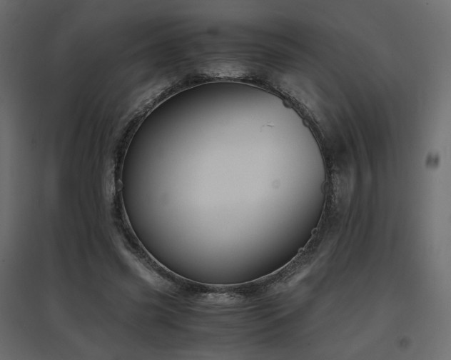 X0000097760541200803071257