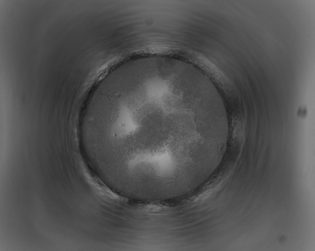 X0000097760542200803071257