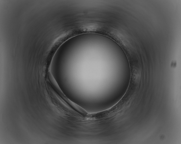 X0000097760543200803071257