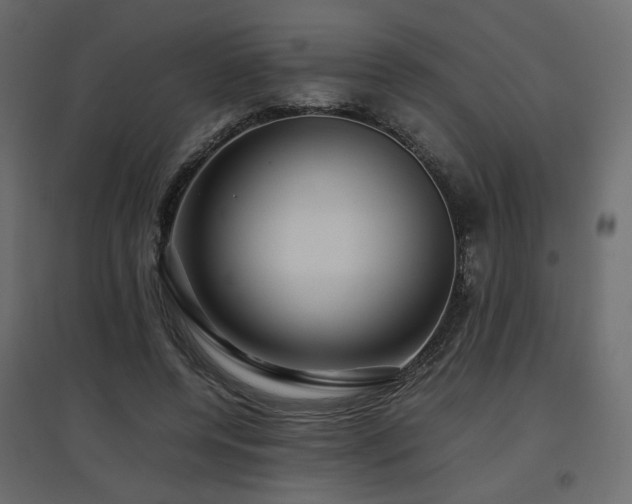 X0000097760544200803071257