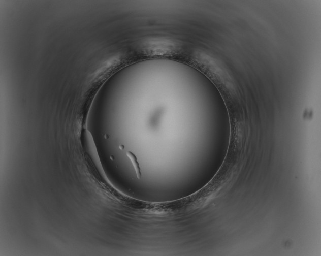 X0000097760545200803071257