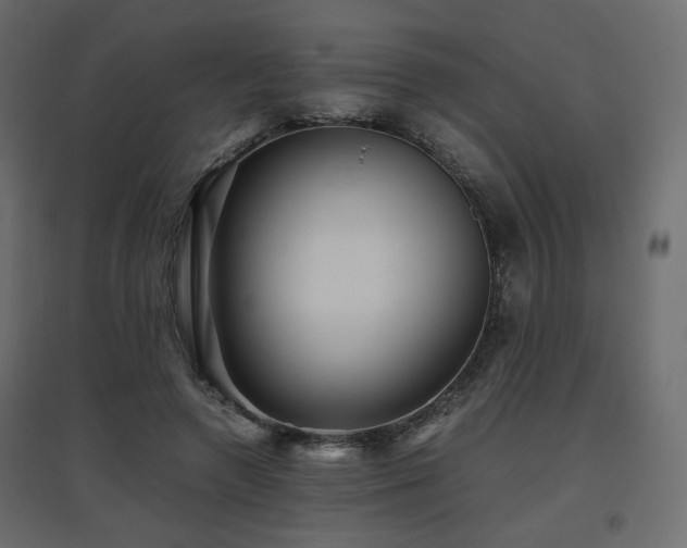 X0000097760546200803071257