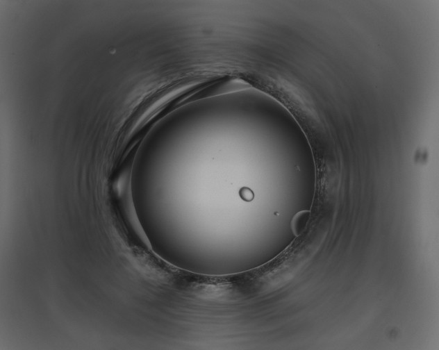 X0000097760548200803071257