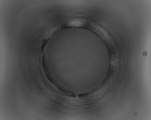 X0000097760551200803071257