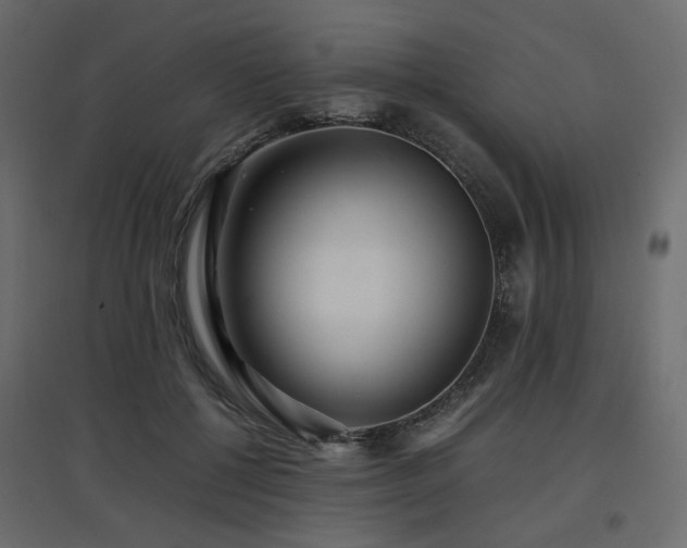 X0000097760552200803071257