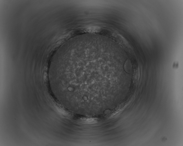 X0000097760553200803071257