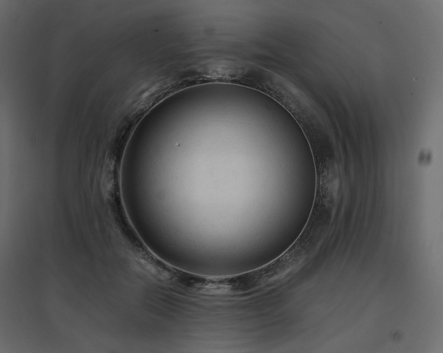 X0000097760554200803071257