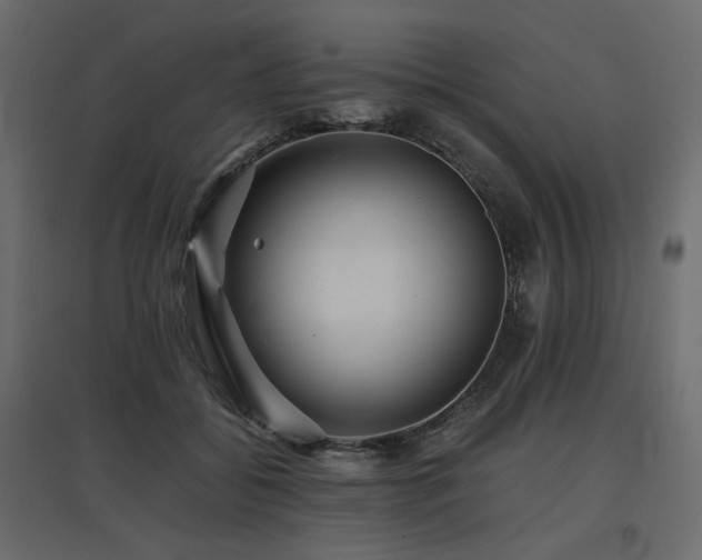 X0000097760556200803071257