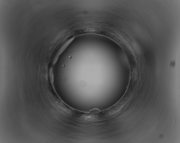 X0000097760557200803071257