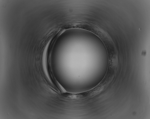 X0000097760558200803071257