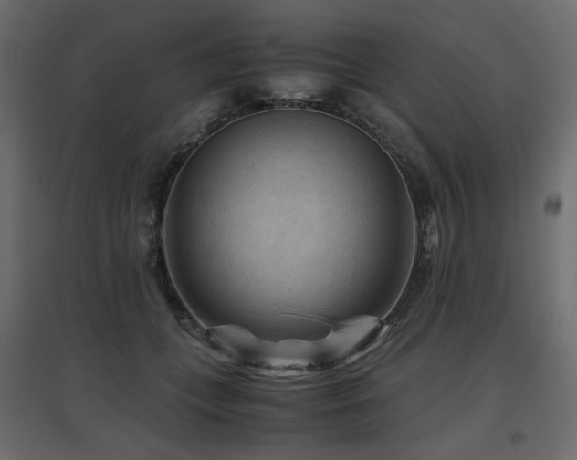 X0000097760559200803071257