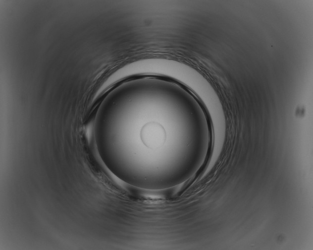 X0000097760560200803071257