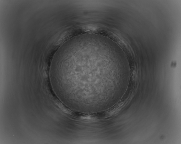 X0000097760561200803071257