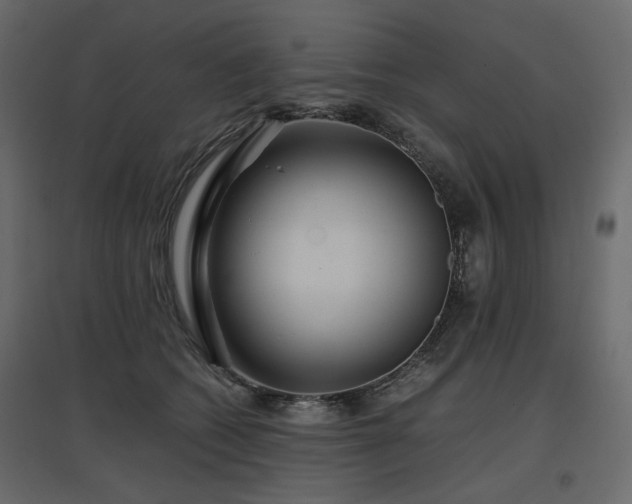 X0000097760562200803071257