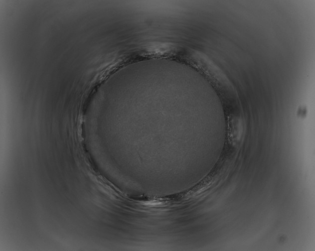 X0000097760563200803071257