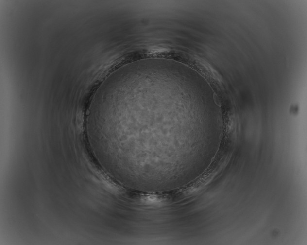 X0000097760565200803071257