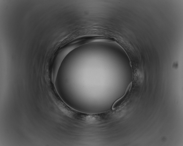 X0000097760566200803071257