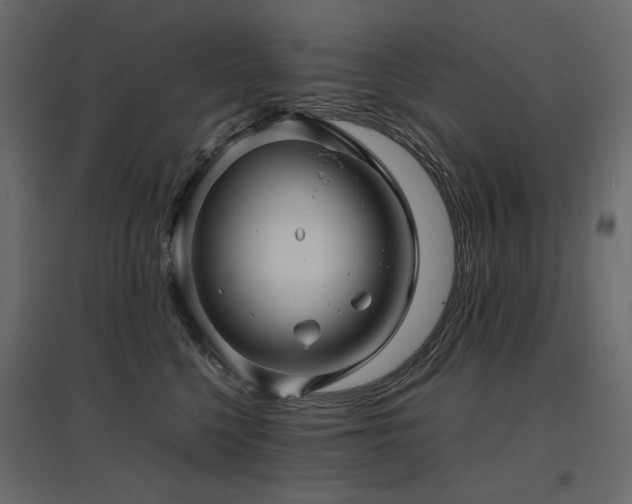 X0000097760568200803071257