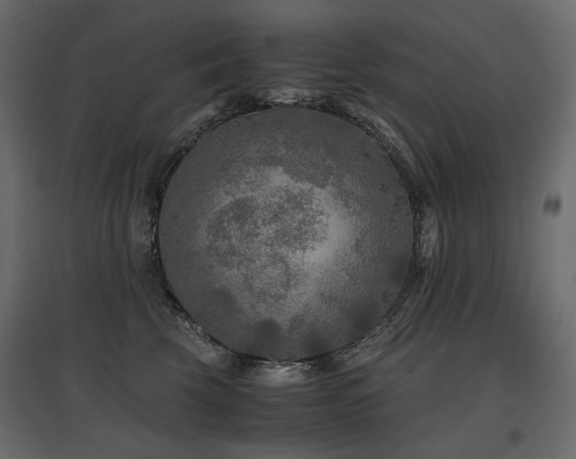 X0000097760569200803071257