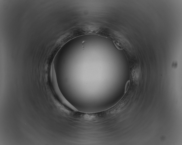 X0000097760570200803071257