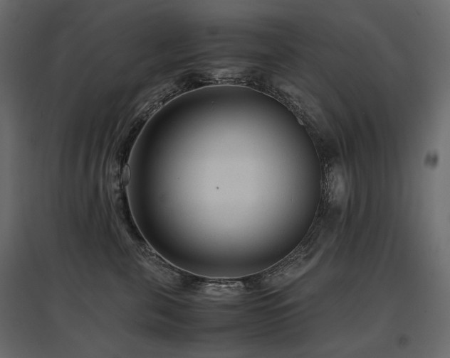 X0000097760571200803071257