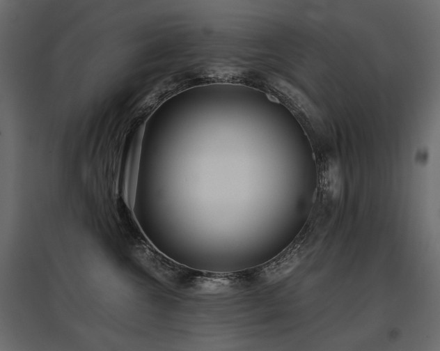 X0000097760572200803071257